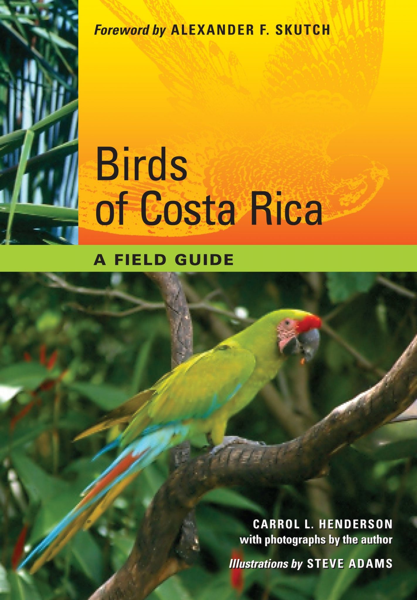 Birds of Costa Rica: A Field Guide (Corrie Herring Hooks) - Field Guide