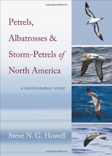Petrels, Albatrosses, and Storm-Petrels of North America: A Photographic Guide