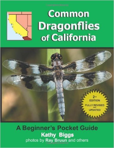 Common Dragonflies of California