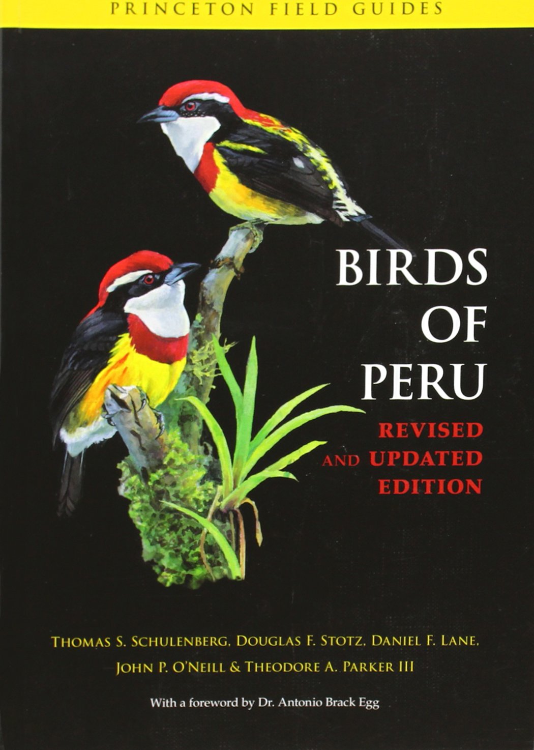 Birds of Peru (Princeton Field Guides)