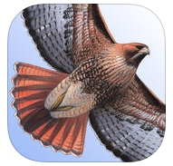 The Sibley eGuide to the Birds of North America (iOS & Android App)