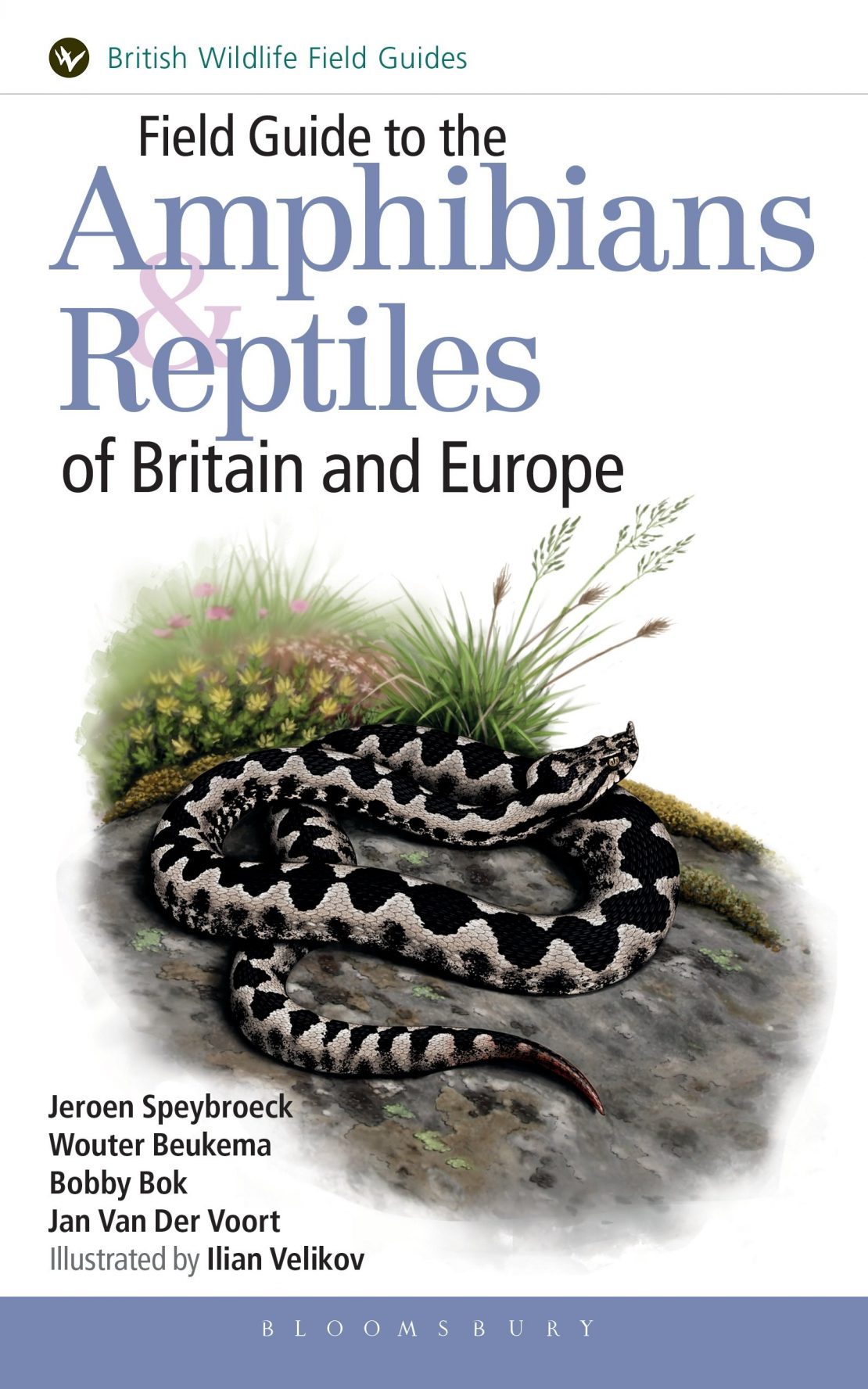 Field Guide to the Amphibians and Reptiles of Britain and Europe (Helm Field Guides)