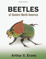 Review: Beetles of Eastern North America