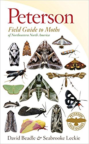 Peterson Field Guide to Moths of Northeastern North America (Peterson Field Guides)