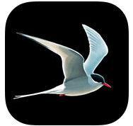Collins Bird Guide app for iPhone and iPad